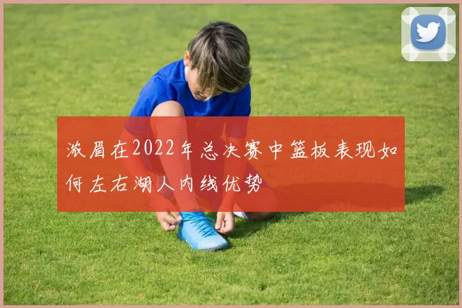 浓眉在2022年总决赛中篮板表现如何左右湖人内线优势