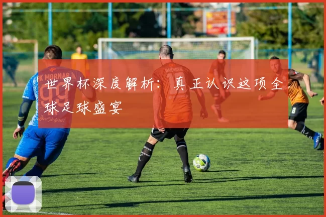 世界杯深度解析:真正认识这项全球足球盛宴