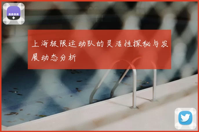 上海极限运动队的灵活性探秘与发展动态分析