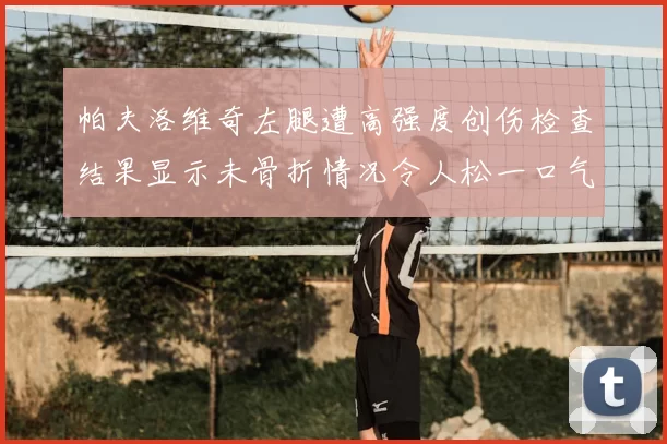帕夫洛维奇左腿遭高强度创伤检查结果显示未骨折情况令人松一口气