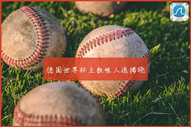 德国世界杯主教练人选揭晓