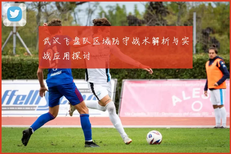 武汉飞盘队区域防守战术解析与实战应用探讨