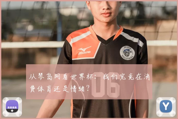 从琴岛网看世界杯:我们究竟在消费体育还是情绪?