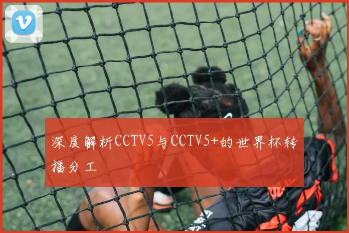 深度解析CCTV5与CCTV5+的世界杯转播分工