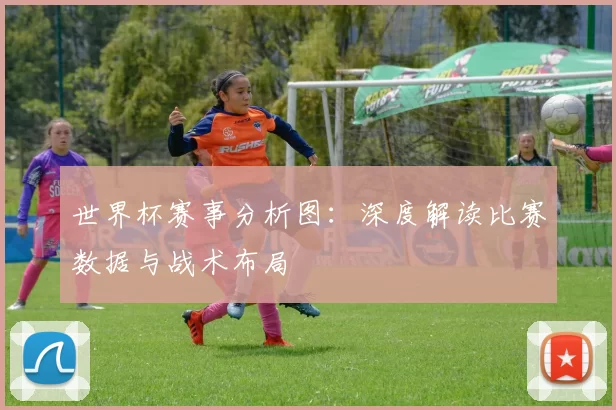 世界杯赛事分析图:深度解读比赛数据与战术布局