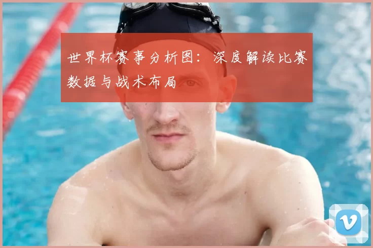 世界杯赛事分析图:深度解读比赛数据与战术布局