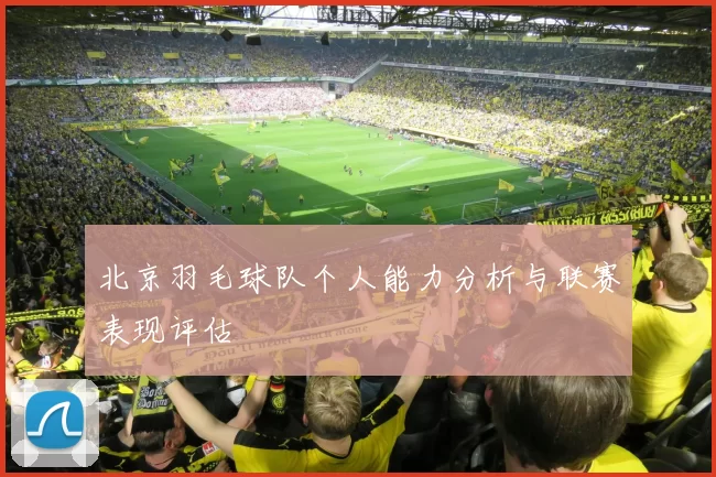 北京羽毛球队个人能力分析与联赛表现评估