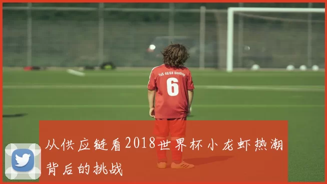 从供应链看2018世界杯小龙虾热潮背后的挑战