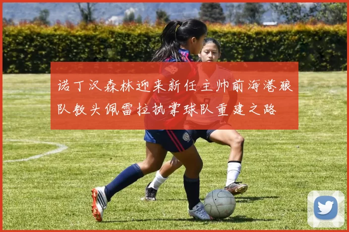 诺丁汉森林迎来新任主帅前海港狼队教头佩雷拉执掌球队重建之路