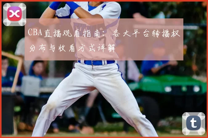CBA直播观看指南:各大平台转播权分布与收看方式详解