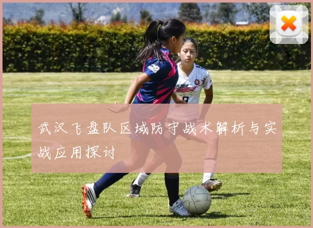 武汉飞盘队区域防守战术解析与实战应用探讨