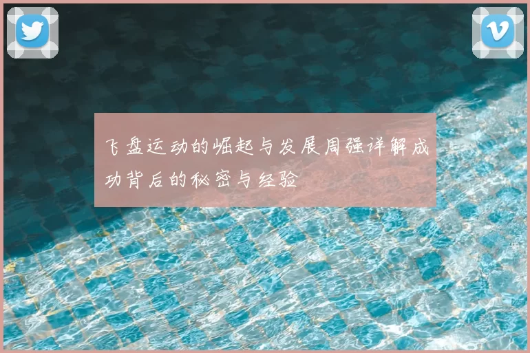 飞盘运动的崛起与发展周强详解成功背后的秘密与经验
