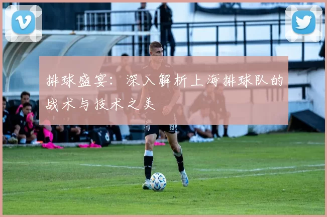 排球盛宴：深入解析上海排球队的战术与技术之美