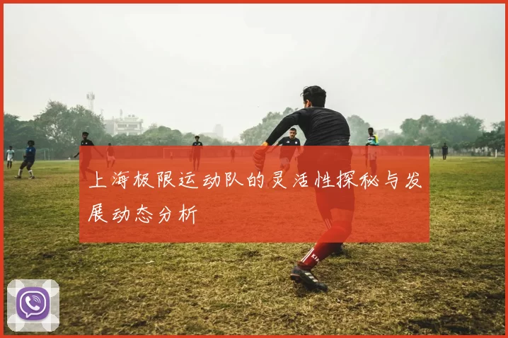 上海极限运动队的灵活性探秘与发展动态分析