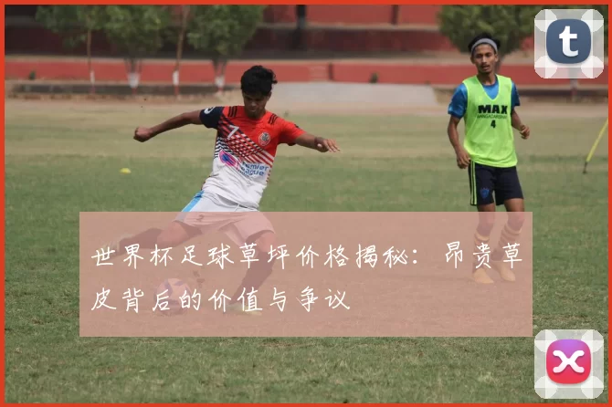 世界杯足球草坪价格揭秘:昂贵草皮背后的价值与争议