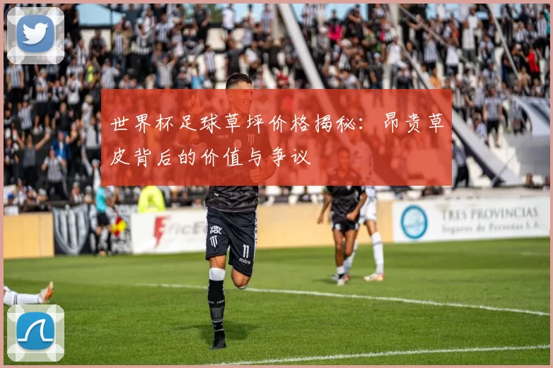 世界杯足球草坪价格揭秘:昂贵草皮背后的价值与争议