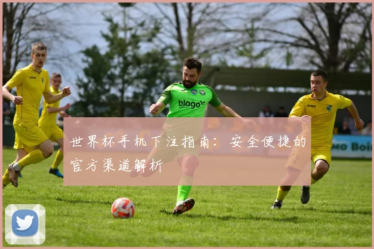 世界杯手机下注指南：安全便捷的官方渠道解析