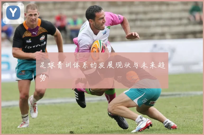 足球青训体系的发展现状与未来趋势
