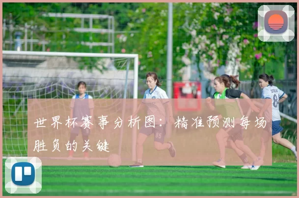 世界杯赛事分析图：精准预测每场胜负的关键