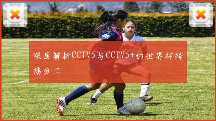深度解析CCTV5与CCTV5+的世界杯转播分工
