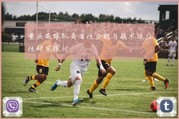 重庆足球队灵活性分析与战术适应性研究探讨