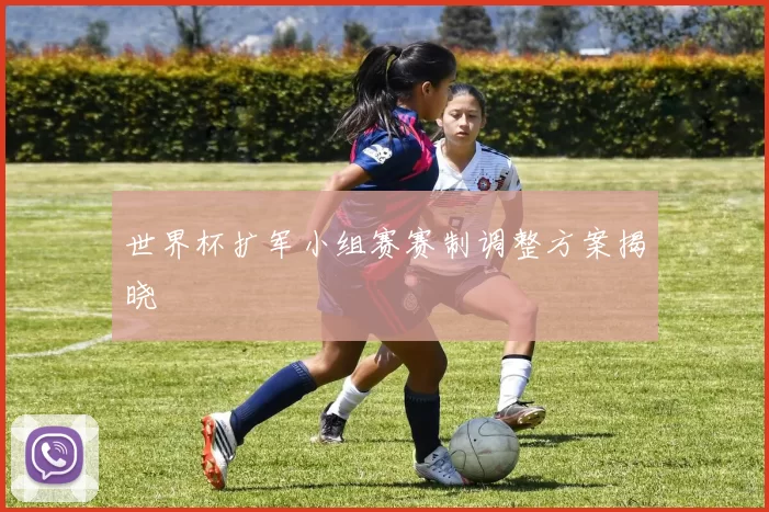世界杯扩军小组赛赛制调整方案揭晓