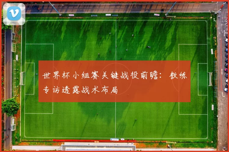 世界杯小组赛关键战役前瞻:教练专访透露战术布局