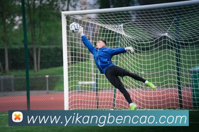 kaiyun平台生态图